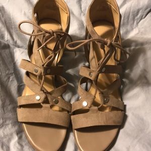 🎉🎉 last chance🎉🎉